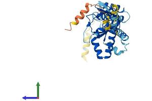 AlphaFold protein structure predicition of Mouse Recombinant Popdc3 Protein, UniprotID Q9ES81 (POPDC3 Protein (AA 1-291) (His tag))