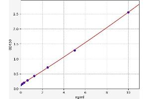 Typical standard curve (CDK2 ELISA Kit)