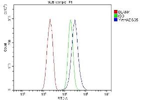 Flow Cytometry analysis of SiHa cells using anti-14-3-3 zeta/delta antibody (ABIN7602973). (14-3-3 zeta antibody  (Middle Region))