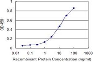 Detection limit for recombinant GST tagged RBL2 is 0. (p130 antibody  (AA 416-515))