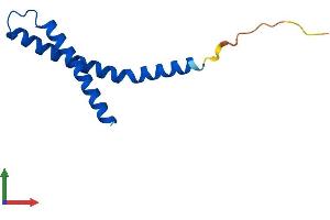 AlphaFold protein structure predicition of Mouse Recombinant Timm10b Protein, UniprotID Q9WV96 (TIMM10B Protein (AA 1-100) (His tag))