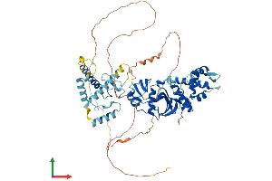 AlphaFold protein structure predicition of Human Recombinant KAT7 Protein, UniprotID O95251 (MYST2 Protein (AA 1-611) (His tag))
