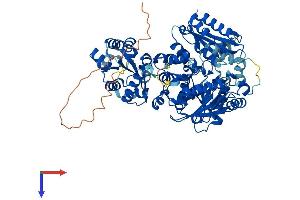 Protein Structure (PS) image for threonine Synthase-Like 1 (THNSL1) (AA 1-743) protein (His tag) (ABIN7544315)