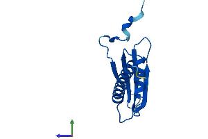 AlphaFold protein structure predicition of Human Recombinant POLR2J Protein, UniprotID P52435 (POLR2J Protein (AA 1-117) (His tag))