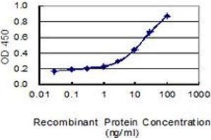 ELISA image for anti-Chloride Channel 2 (CLCN2) (AA 38-387) antibody (ABIN560397)
