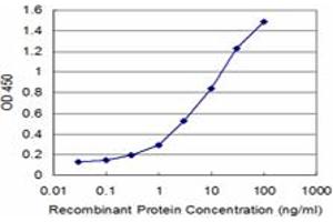 Detection limit for recombinant GST tagged RFC4 is approximately 0. (RFC4 antibody  (AA 254-363))