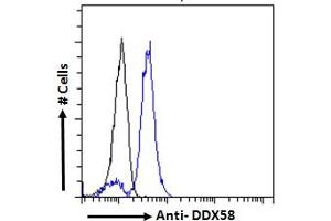 Flow Cytometry (FACS) image for anti-DEAD (Asp-Glu-Ala-Asp) Box Polypeptide 58 (DDX58) (C-Term) antibody (ABIN6391376)