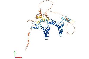 Protein Structure (PS) image for Zinc Finger Protein interacting with Ribonucleoprotein K (ZIK1) (AA 1-487) protein (His tag) (ABIN7545299)