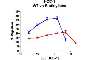 CCL14 Protein (AA 28-93)