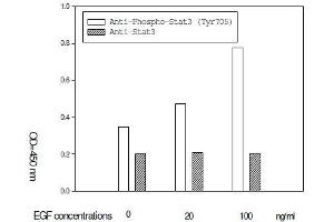 Image no. 5 for Signal Transducer and Activator of Transcription 3 (Acute-Phase Response Factor) (STAT3) ELISA Kit (ABIN1981839)