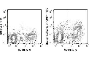 C57Bl/6 bone marrow cells were stained with APC Anti-Mouse CD11b (ABIN6961412) and 0. (F4/80 antibody  (FITC))