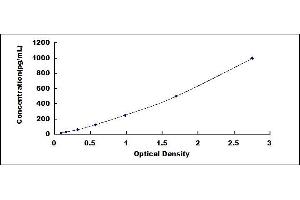 Typical standard curve (Cathepsin G ELISA Kit)