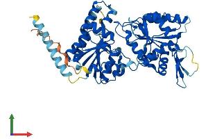 Protein Structure (PS) image for Chitobiosyldiphosphodolichol beta-Mannosyltransferase (ALG1) (AA 1-482) protein (His tag) (ABIN7560201)