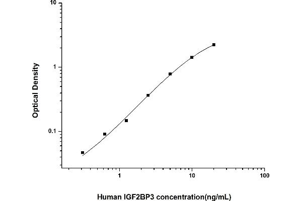 IGF2BP3 ELISA Kit