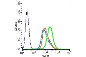 Human raji cells probed with RANKL Polyclonal Antibody, Unconjugated  (green) at 1:100 for 30 minutes followed by a FITC conjugated secondary antibody compared to unstained cells (blue), secondary only (light blue), and isotype control (orange). (RANKL antibody  (AA 210-317))