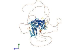 AlphaFold protein structure predicition of Human Recombinant SWT1 Protein, UniprotID Q5T5J6 (SWT1 Protein (AA 1-900) (His tag))