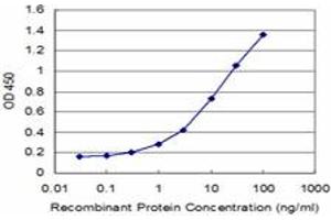 Detection limit for recombinant GST tagged TGM2 is approximately 0. (Transglutaminase 2 antibody  (AA 1-120))