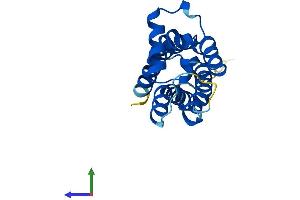 AlphaFold protein structure predicition of Human Recombinant TMEM97 Protein, UniprotID Q5BJF2 (TMEM97 Protein (AA 1-176) (His tag))