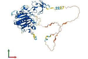 AlphaFold protein structure predicition of Mouse Recombinant Apex2 Protein, UniprotID Q68G58 (APEX2 Protein (AA 1-516) (His tag))