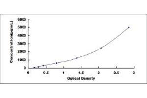 Typical standard curve (PTGER2 ELISA Kit)