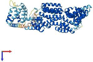 AlphaFold protein structure predicition of Mouse Recombinant Anapc5 Protein, UniprotID Q8BTZ4 (ANAPC5 Protein (AA 1-740) (His tag))