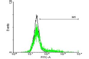 FACS analysis of negative control 293 cells (Black) and IL13RA1 expressing 293 cells (Green) using IL13RA1 purified MaxPab mouse polyclonal antibody. (IL13 Receptor alpha 1 antibody  (AA 1-427))