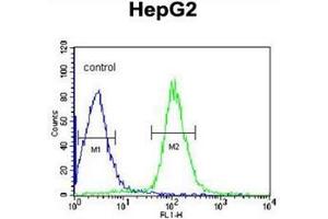Flow cytometric analysis of HepG2 cells using DIPA Antibody  (right histogram) compared to a negative control cell (left histogram). (CCDC85B antibody  (Middle Region))