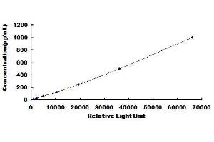Typical standard curve