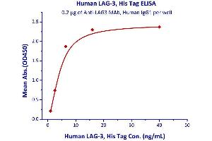 Immobilized Human LAG-3, His Tag  can bind anti-LAG-3 mAb with a linear range of 0. (LAG3 Protein (AA 23-450) (His tag))