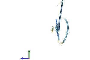 AlphaFold protein structure predicition of Human Recombinant MNS1 Protein, UniprotID Q8NEH6 (MNS1 Protein (AA 1-495) (His tag))