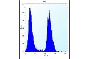 EIF2B1 Antibody (Center) (ABIN656348 and ABIN2845647) flow cytometric analysis of 293 cells (right histogram) compared to a negative control cell (left histogram). (EIF2B1 antibody  (AA 136-163))