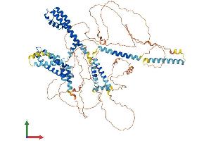 AlphaFold protein structure predicition of Human Recombinant KCNQ2 Protein, UniprotID O43526