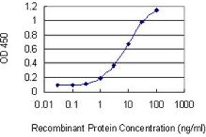 Detection limit for recombinant GST tagged IL17F is 0. (IL17F antibody  (AA 31-140))