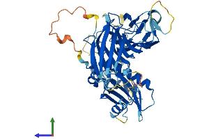 AlphaFold protein structure predicition of Mouse Recombinant Ap4m1 Protein, UniprotID Q9JKC7 (AP4M1 Protein (AA 1-449) (His tag))