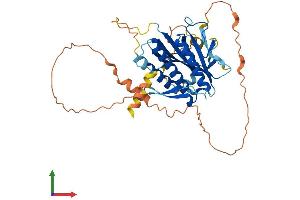 AlphaFold protein structure predicition of Mouse Recombinant Hormad1 Protein, UniprotID Q9D5T7
