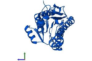 AlphaFold protein structure predicition of Mouse Recombinant Dcxr Protein, UniprotID Q91X52 (DCXR Protein (AA 1-244) (His tag))