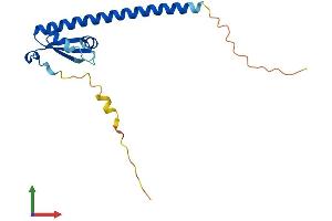 AlphaFold protein structure predicition of Mouse Recombinant Ooep Protein, UniprotID Q9CWE6