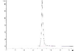 Size-exclusion chromatography-High Pressure Liquid Chromatography (SEC-HPLC) image for Tumor Necrosis Factor Receptor Superfamily, Member 10a (TNFRSF10A) protein (His-Avi Tag,Biotin) (ABIN7275778)