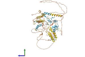AlphaFold protein structure predicition of Human Recombinant HIC1 Protein, UniprotID Q14526 (HIC1 Protein (AA 1-733) (His tag))