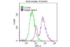 Overlay histogram showing MCF-7 cells stained with ABIN7127584 (red line) at 1:50. (Recombinant ITGB1 antibody)