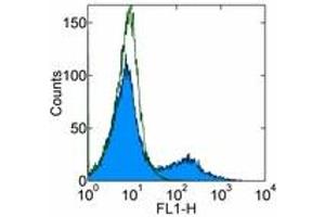 Image no. 1 for anti-CD36 (CD36) antibody (FITC) (ABIN474150) (CD36 antibody  (FITC))