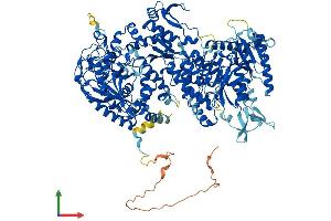 Protein Structure (PS) image for Nucleolar Protein 6 (NOL6) (AA 1-1146) protein (His tag) (ABIN7554759)