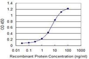 Detection limit for recombinant GST tagged HIPK1 is 0. (HIPK1 antibody  (AA 330-430))