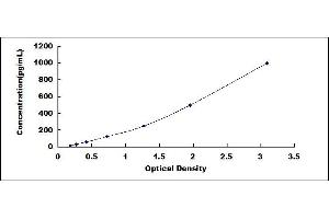 Typical standard curve (Netrin 1 ELISA Kit)