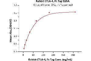 Immobilized Human B7-2, His Tag (ABIN2180619,ABIN2180618) at 5 μg/mL (100 μL/well)can bind Rabbit CTLA-4, Fc Tag (ABIN4949198,ABIN4949199) with a linear range of 5-78 ng/mL (Routinely tested).
