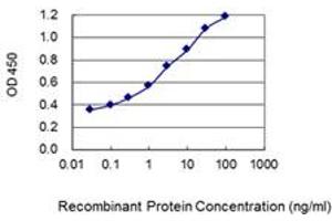 Detection limit for recombinant GST tagged C14orf143 is 0. (EFCAB11 antibody  (AA 1-163))