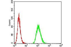 Flow cytometric analysis of MCF-7 cells using MET mouse mAb (green) and negative control (red). (c-MET antibody  (AA 743-932))