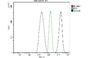 Flow Cytometry analysis of HepG2 cells using anti-TAGLN/Transgelin antibody (ABIN7600099). (Transgelin antibody  (AA 15-170))