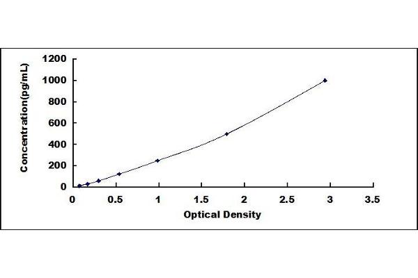 CXCL17 ELISA Kit