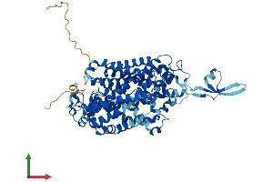 AlphaFold protein structure predicition of Human Recombinant SLC6A14 Protein, UniprotID Q9UN76